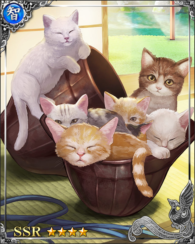 [猫鍋七姉妹]富玲愛照須