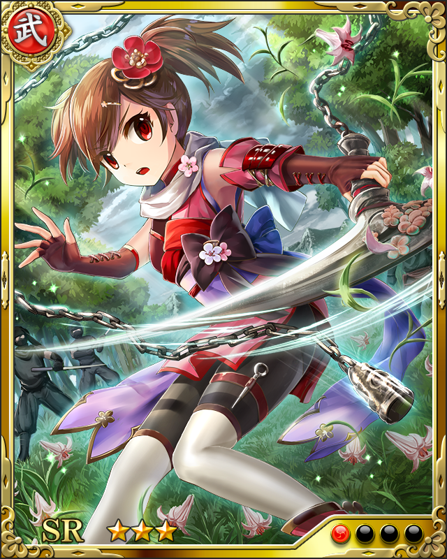 [鎖鎌の才華]宍戸梅軒