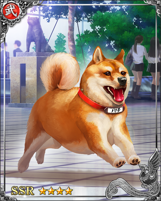 [純情忠犬]パチ