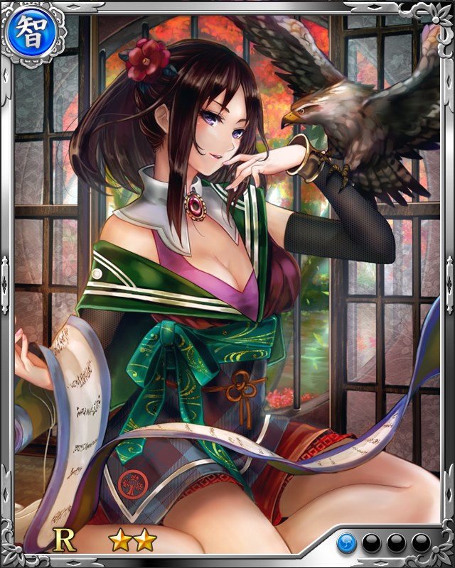 [非情鷹嬢]本多正信