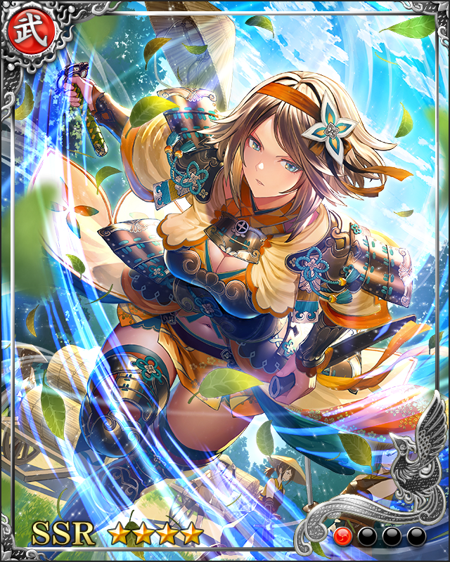 [敏速要撃]島津家久