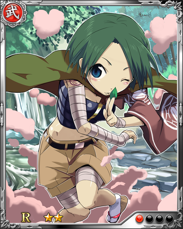[四方髪の忍姫]百地丹波