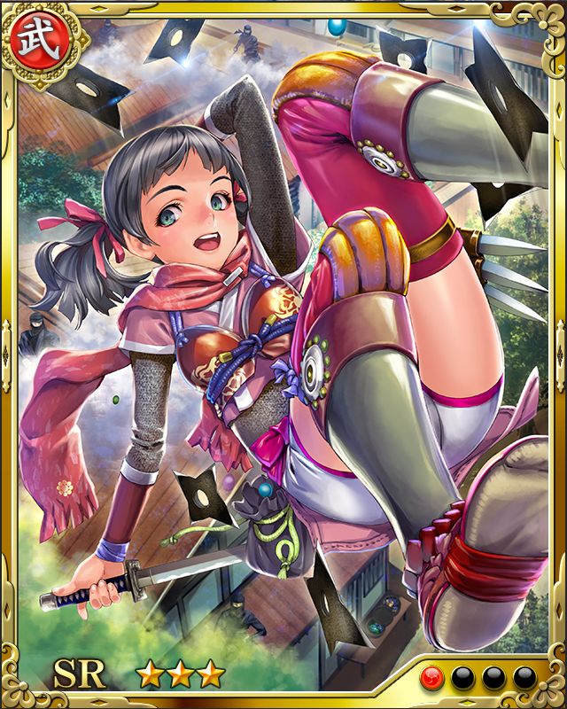 [煙竜法師]望月出雲守