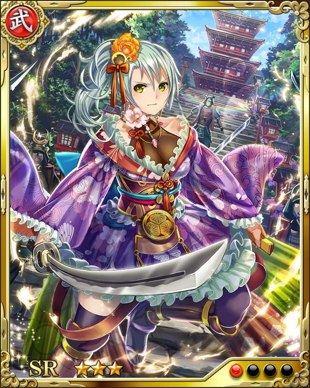 [真正武辺者]松平信康