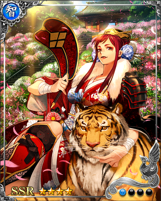 [傾城傾国]武田信玄
