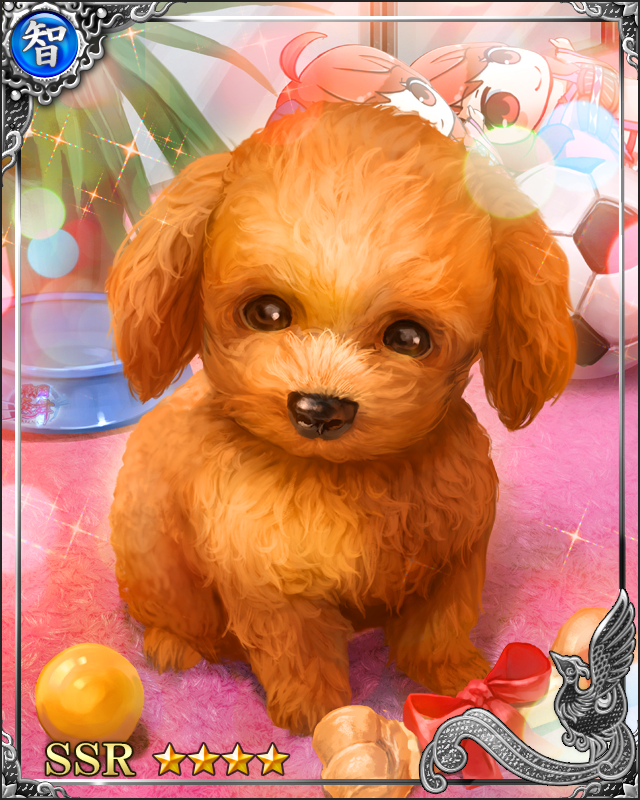 [天使の聖犬]クリスティナ