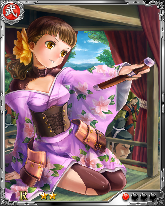 [雄飛の姫君]武田晴信