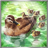軽鳬の櫛比